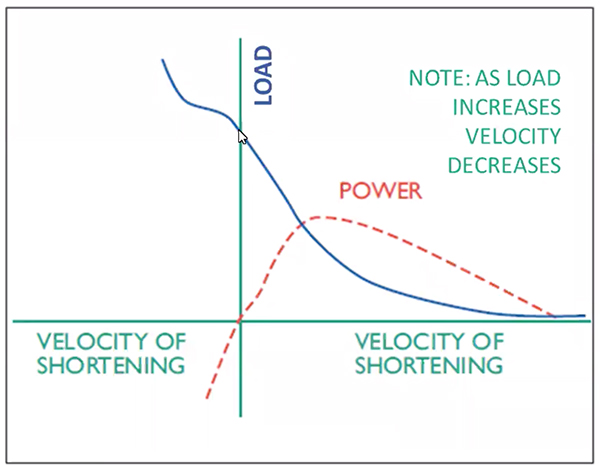 Load-velocity-curve